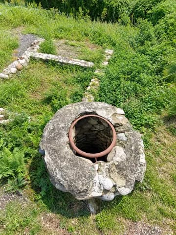 Диоскуриада