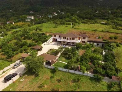 sibiryak-9