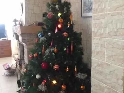 holiday-otradnoye-7