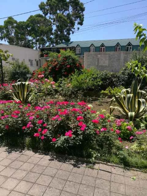 villa-roza-9