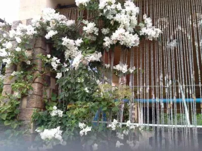 villa-roza-8