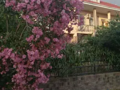 villa-roza-5
