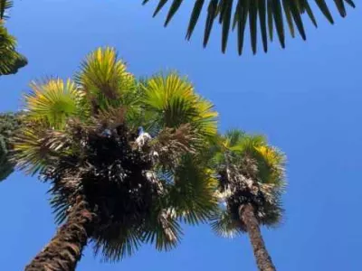 hotel-gagra-6