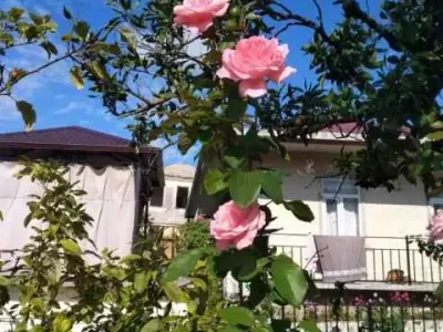 77198e67234f0caebcf7dcf22f73cb35