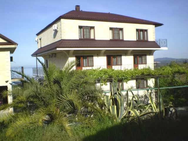 bars-abkhazia-1