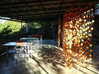 bars-abkhazia-6