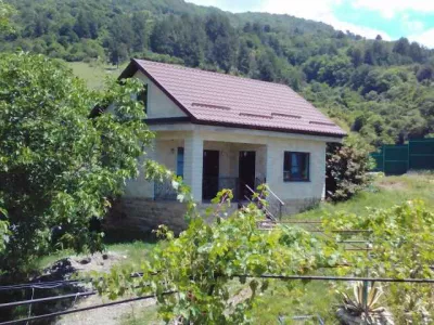 bars-abkhazia-3