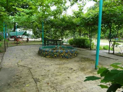 zolotaia-bukhta-9