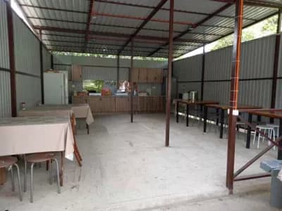 yujnaya-palmira-4