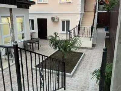 delphin-2