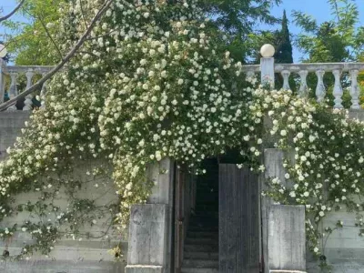 villa-afon-4