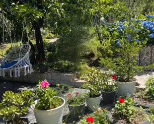 Гостевой дом 'Багира'