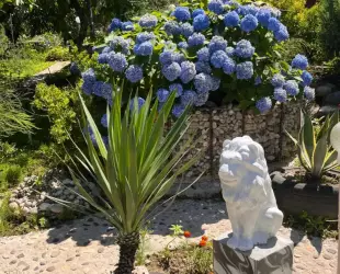 Гостевой дом 'Багира'