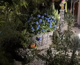 Гостевой дом 'Багира'