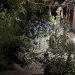 Гостевой дом 'Багира'