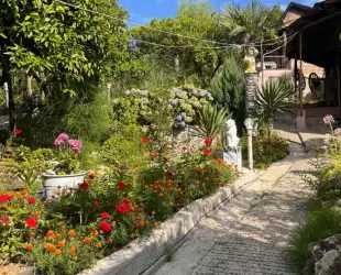 Гостевой дом 'Багира'