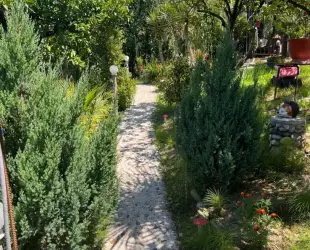 Гостевой дом 'Багира'