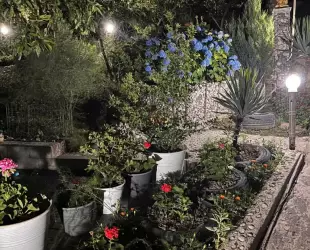 Гостевой дом 'Багира'