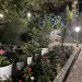 Гостевой дом 'Багира'