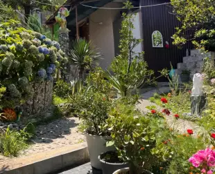 Гостевой дом 'Багира'