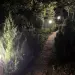 Гостевой дом 'Багира'
