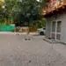 Цитрон