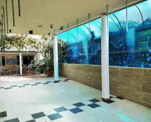 Домик в Гагре