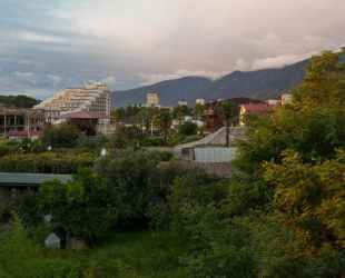 Лаванда