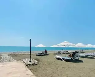 Жемчужина