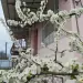 Гостевой дом Арина