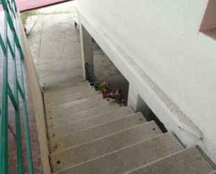 Гостевой дом Мимоза