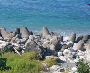 Гостевой дом Мимоза