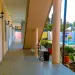 Отель Platan