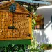 Отель Platan