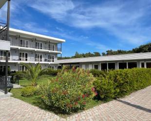 Отель Мандарин