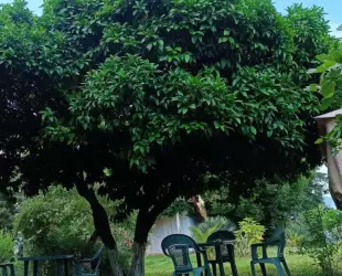 Гостевой дом Инкит