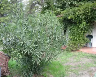 Гостевой дом Инкит