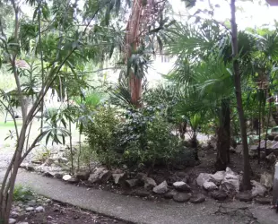 Гостевой дом Инкит