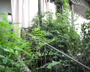 Гостевой дом Инкит