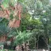 Гостевой дом Инкит