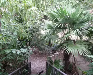 Гостевой дом Инкит