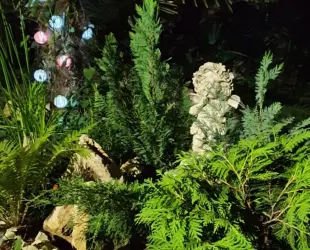 Гостевой дом Инкит