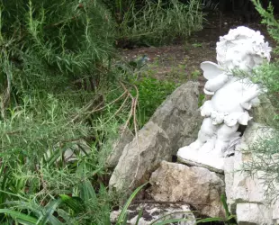 Гостевой дом Инкит