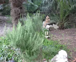 Гостевой дом Инкит