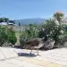 Парк отель Галина