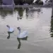 Парк отель Галина