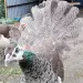 Парк отель Галина