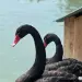 Парк отель Галина