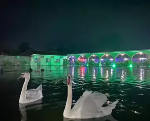 Парк отель Галина