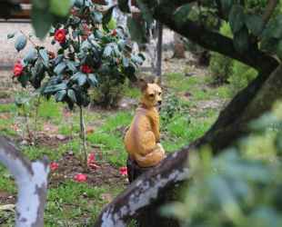 Гостевой дом У Ларисы, Гудаута